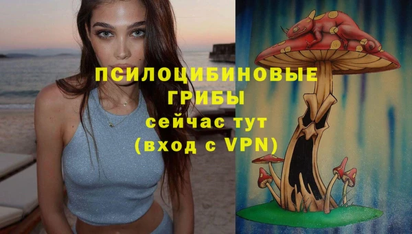 стаф Горнозаводск